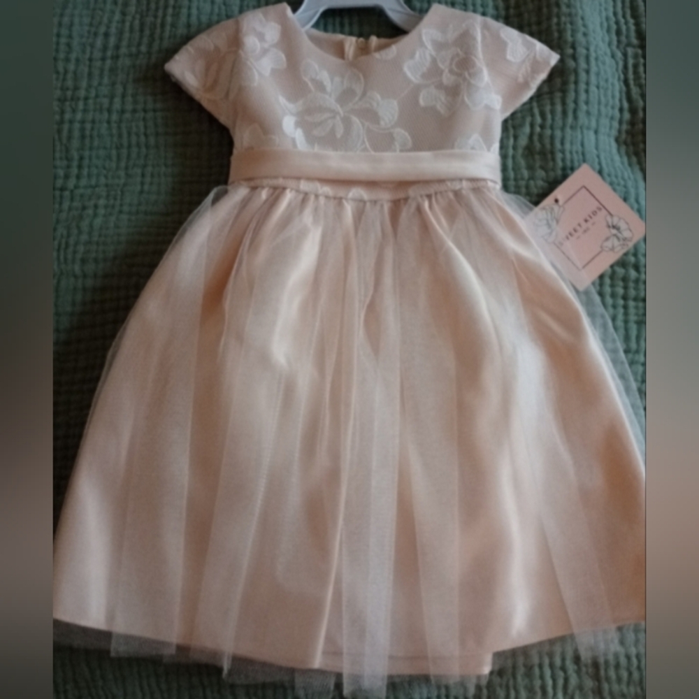 Formal Holiday Birthday Flower Girl Dress Toddler Peach